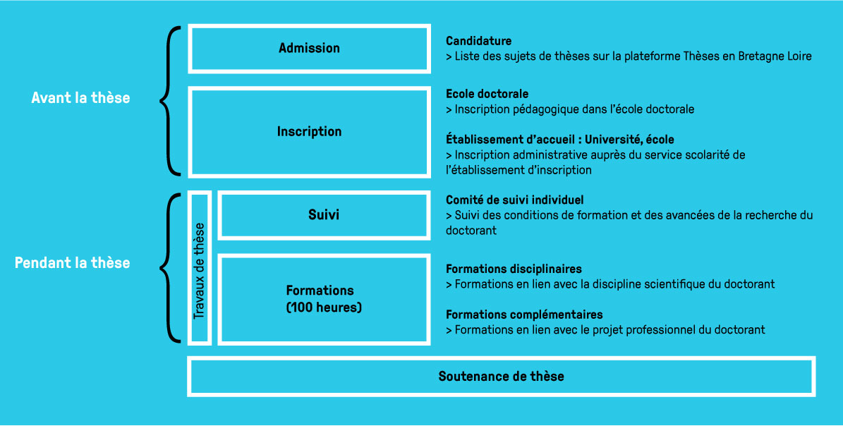 Le déroulement du doctorat